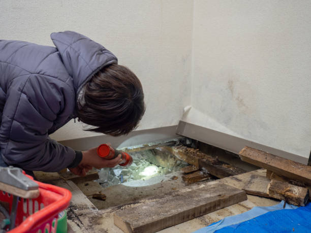 Best Mold Documentation for Insurance Claims  in Walnut Grove, GA