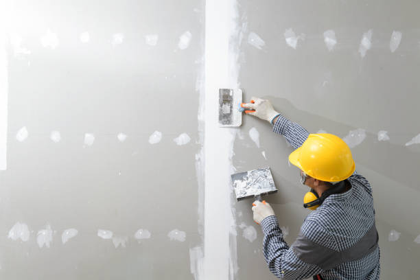 Best Black Mold Removal  in Walnut Grove, GA