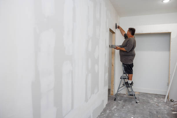 Best Post-Construction Mold Inspection  in Walnut Grove, GA
