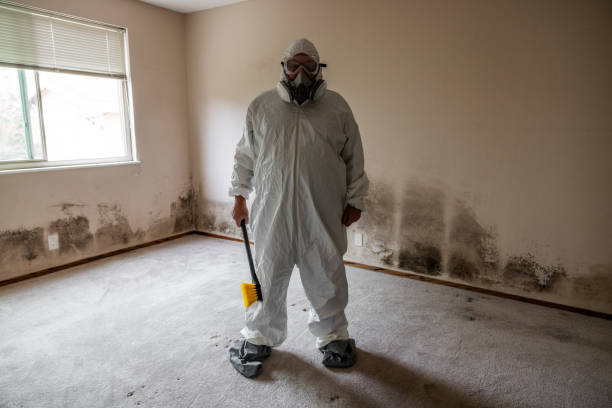 Best Mold Odor Removal Services  in Walnut Grove, GA